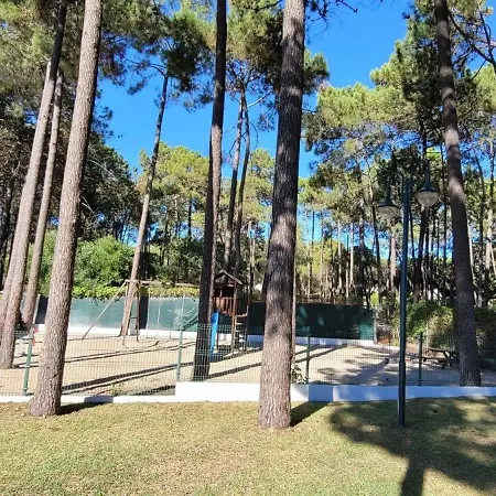 With Pool In - 53 M², 5 Guests 公寓 维拉摩拉